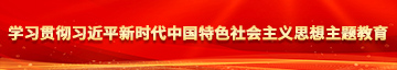 啊啊～大鸡吧顶的小骚逼好舒服啊视频学习贯彻习近平新时代中国特色社会主义思想主题教育